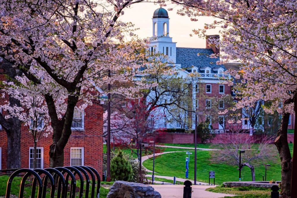 South Campus in Spring